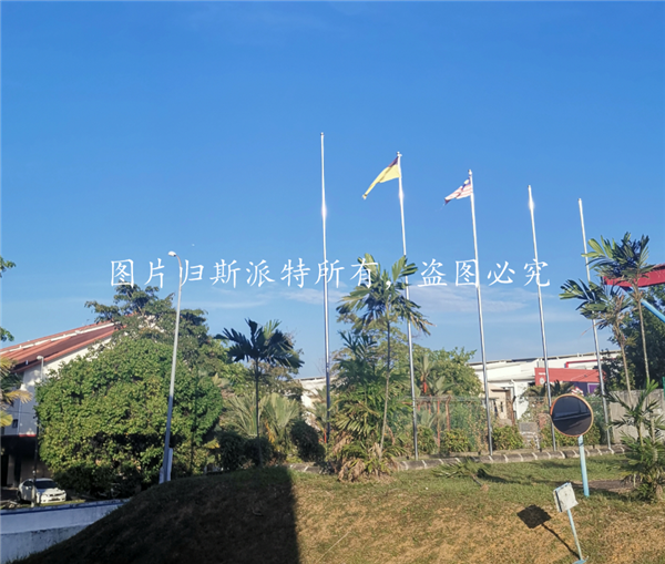 SPT899嫩草影院蜘（zhī）蛛（zhū）吊