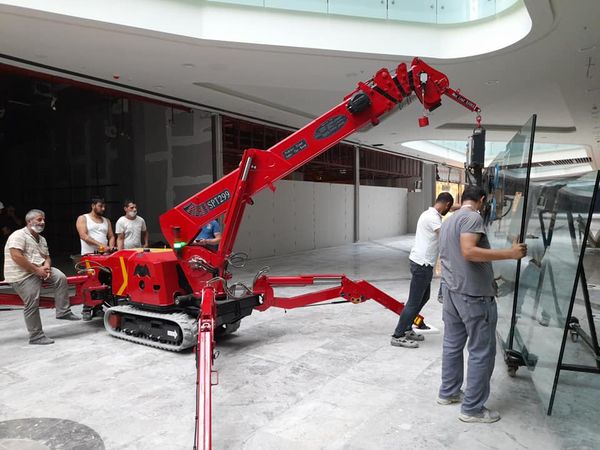 SPT299蜘（zhī）蛛吊車